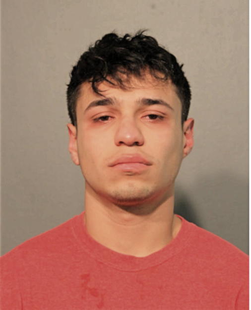 LEONARDO DAVID COPADO, Cook County, Illinois