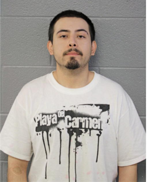 RAUL ELIZONDO, Cook County, Illinois