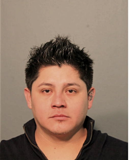 OSCAR ELOISA, Cook County, Illinois