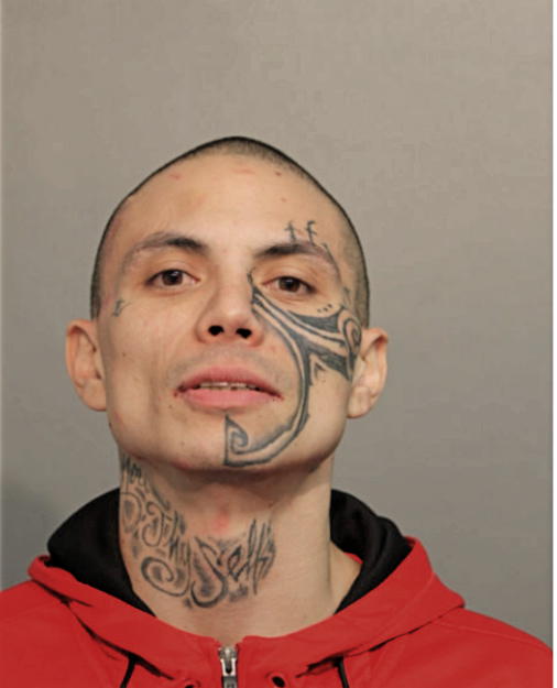 RICHARD J FRALEY, Cook County, Illinois