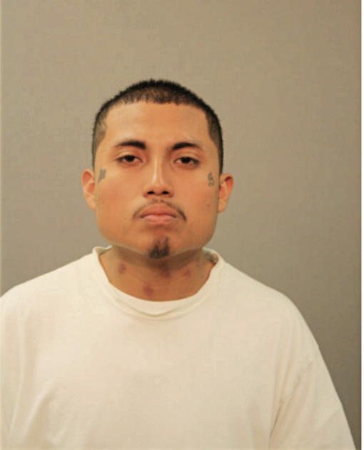 DAVID GONZALEZ, Cook County, Illinois