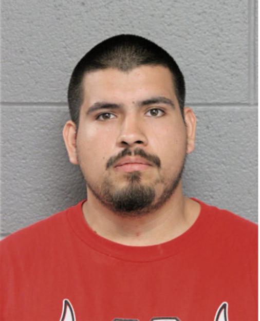 ERIC GUERECA, Cook County, Illinois