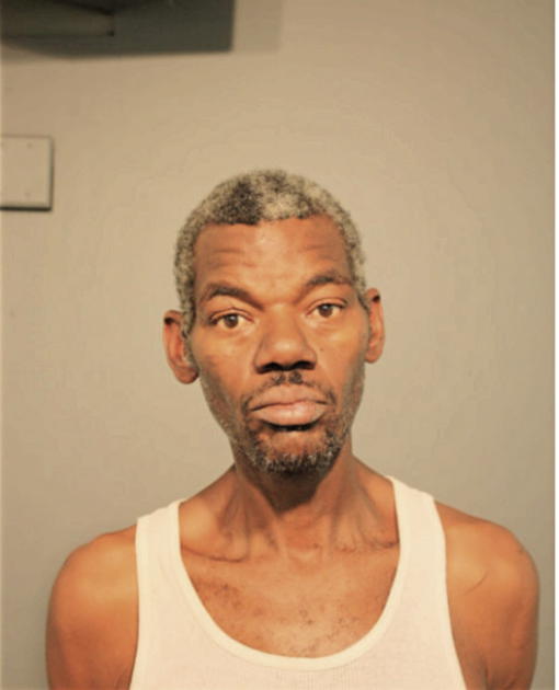DARNELLE H HAYNES, Cook County, Illinois