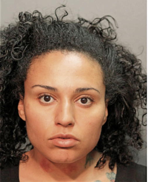 JAMILA S HOLMES, Cook County, Illinois