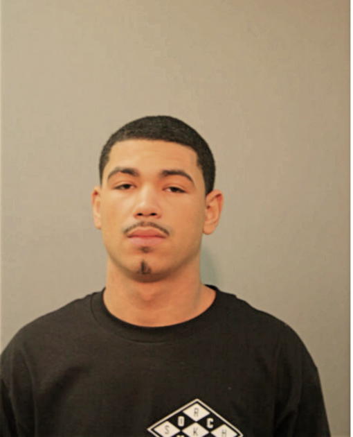 WILLIAM J JACKSON, Cook County, Illinois