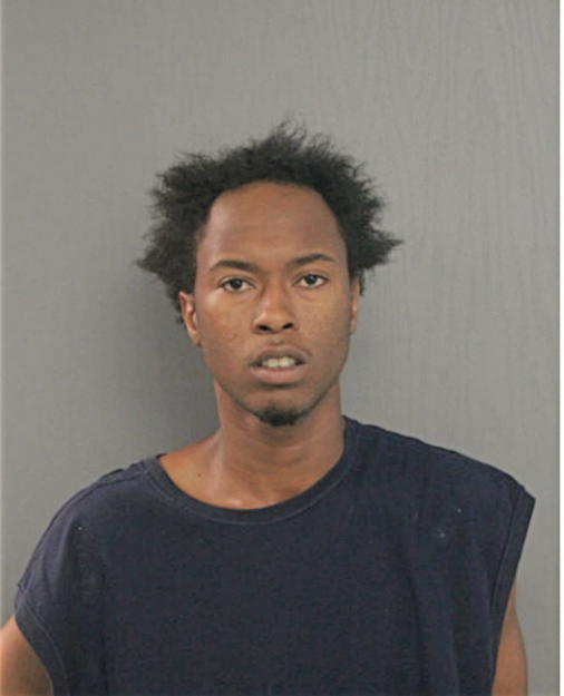 ANTHONY R JOHNSON, Cook County, Illinois