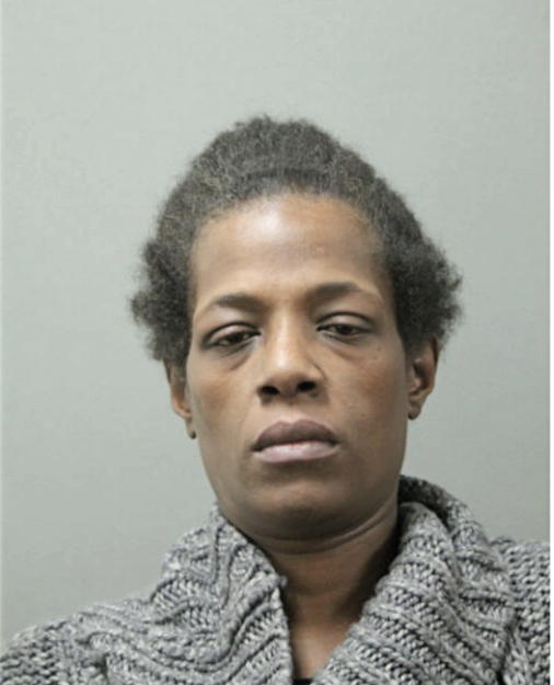 SCHLONDA Y JOHNSON, Cook County, Illinois