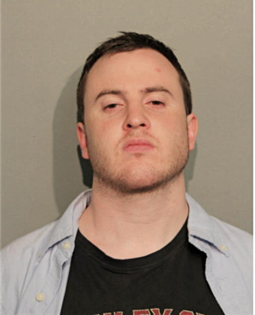 NICHOLAS J MANSFIELD, Cook County, Illinois