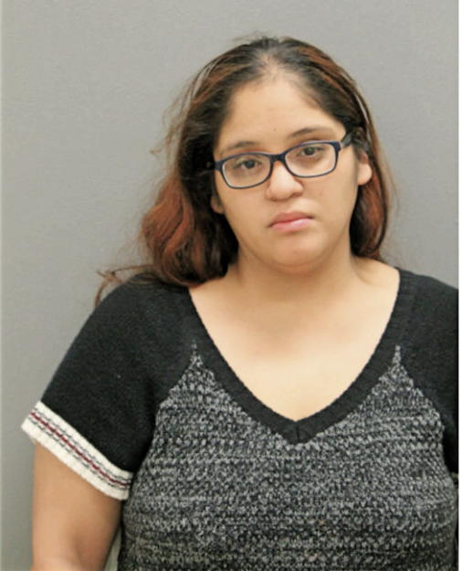 ASHLEY N MARTINEZ, Cook County, Illinois