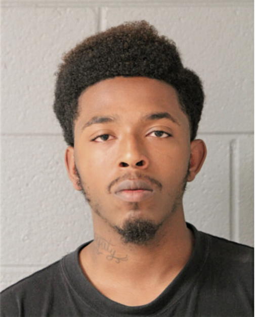MALIK K NITZ, Cook County, Illinois