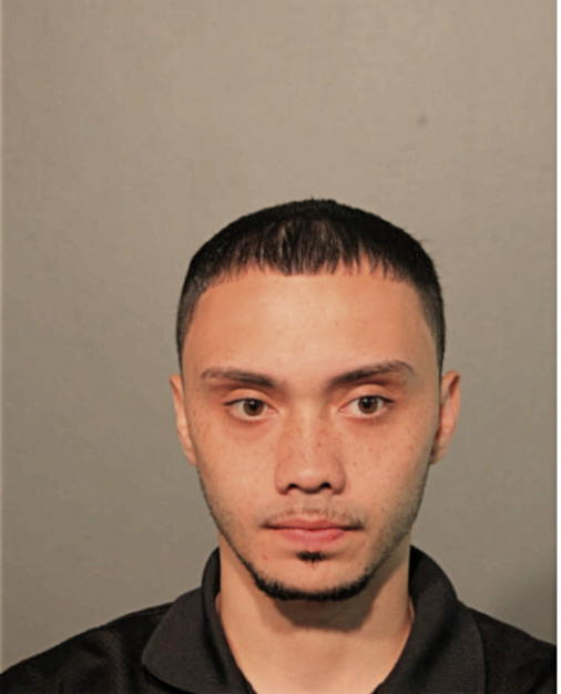 CHRISTIAN REYES, Cook County, Illinois