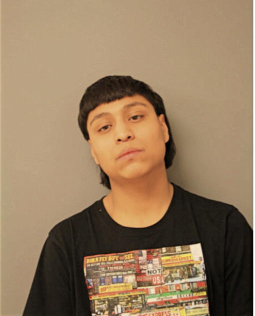 JOSUE ROMAN-GAMEZ, Cook County, Illinois