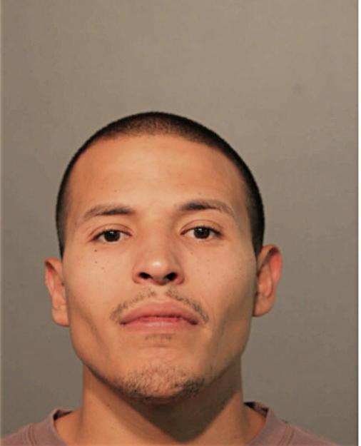MIGUEL ANGEL ROMAN, Cook County, Illinois
