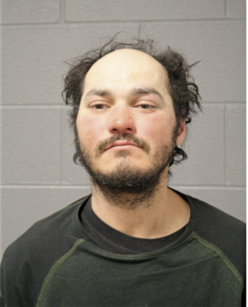 SALVADOR SEPULVEDA, Cook County, Illinois
