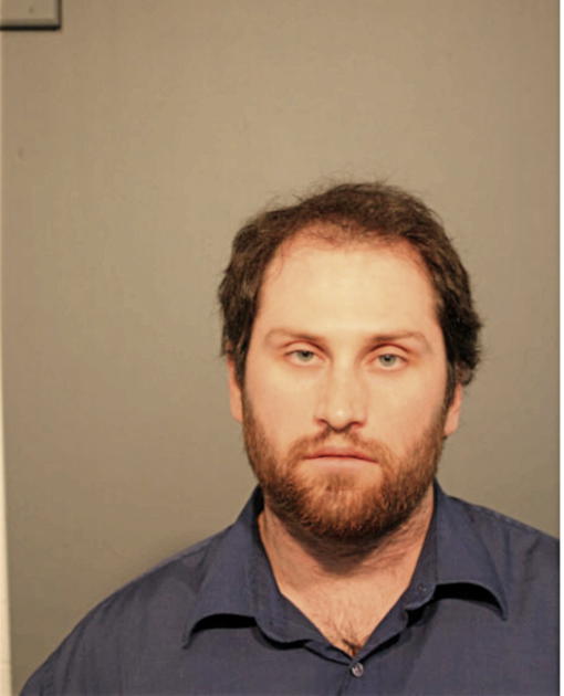LUVAN V STANISLAV, Cook County, Illinois