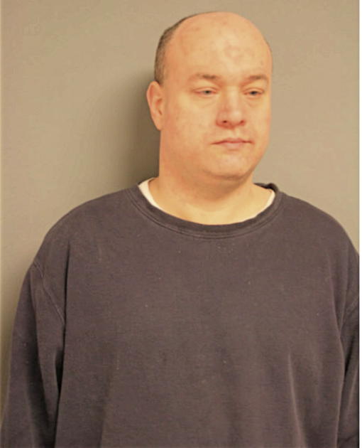 MICHAEL A STARCEVIC, Cook County, Illinois