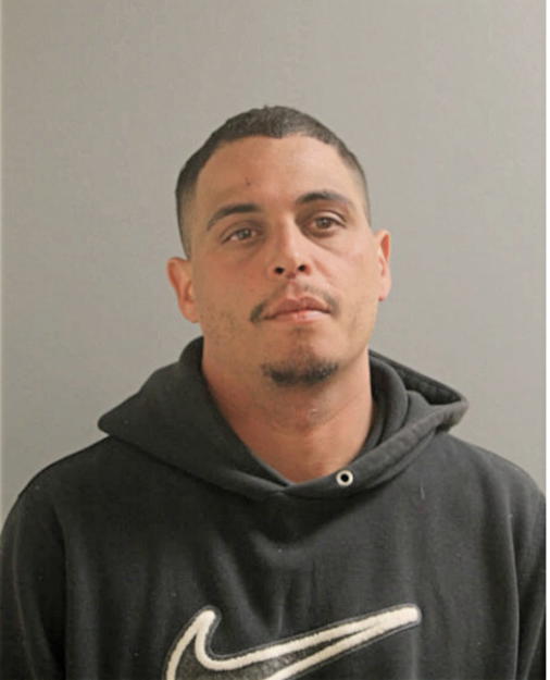 FELIX L VEGA, Cook County, Illinois