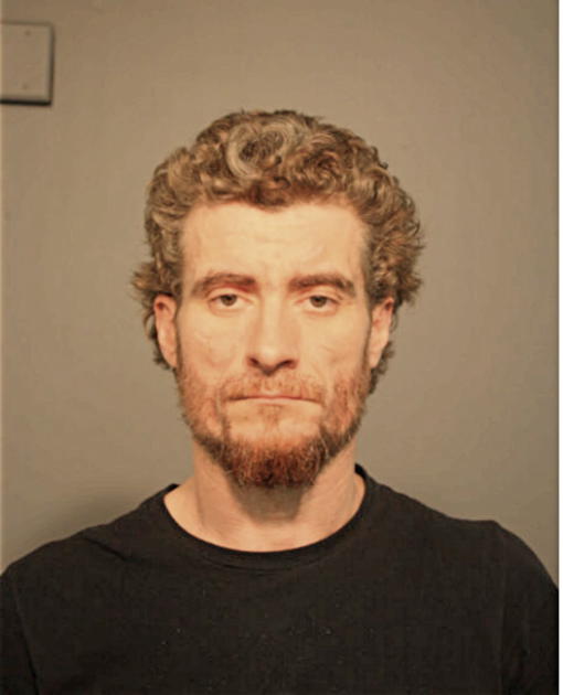 IGOR A YERMAK, Cook County, Illinois