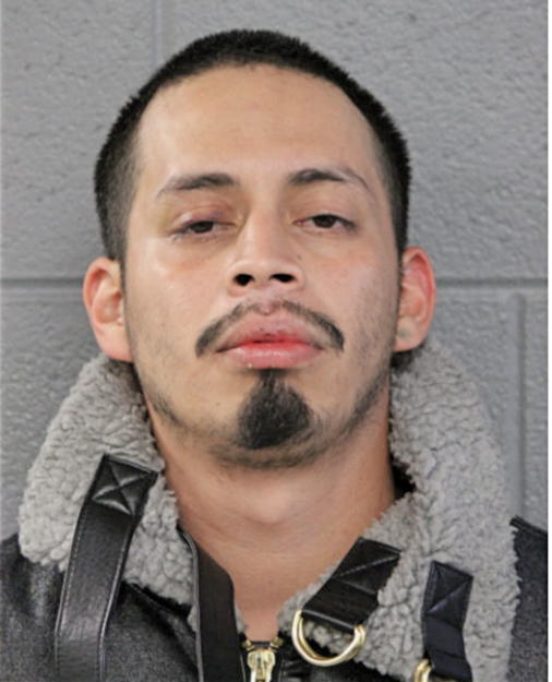LUIS A AGUADO, Cook County, Illinois