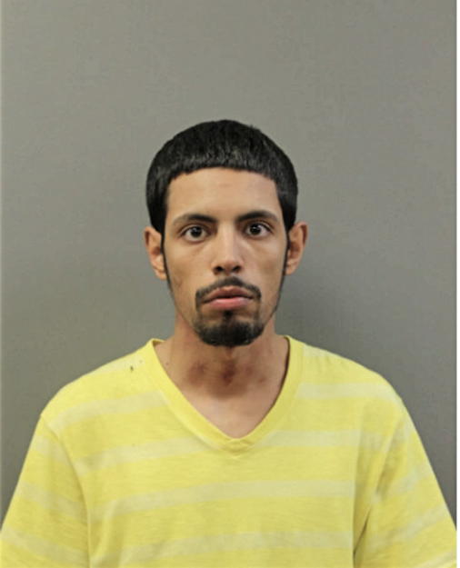 MICHAEL AVILES, Cook County, Illinois