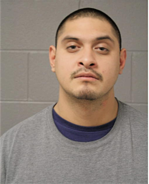 RICARDO BAHENA, Cook County, Illinois
