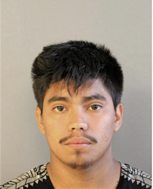 JUAN BRAVO, Cook County, Illinois