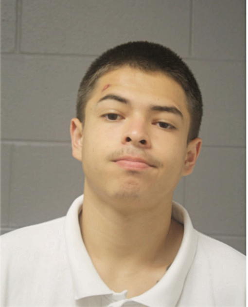 CARLOS CARDENAS, Cook County, Illinois