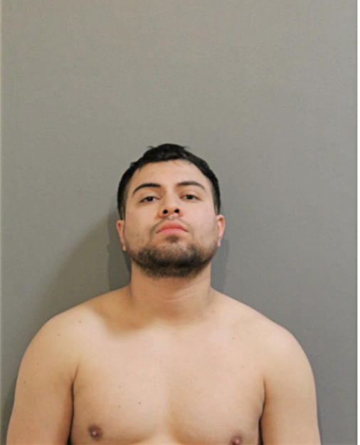JORGE L CHAVEZ, Cook County, Illinois