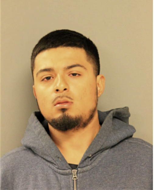 LUIS A CORTES, Cook County, Illinois