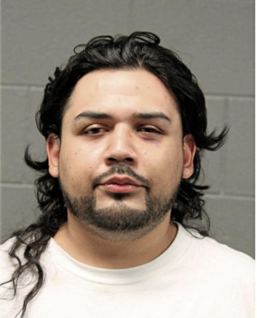 DANIEL C DIAZ, Cook County, Illinois