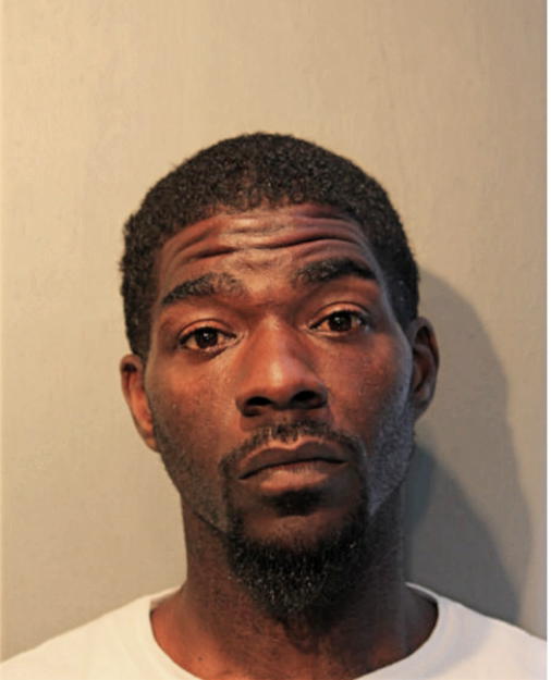 JANON T DOWDY, Cook County, Illinois