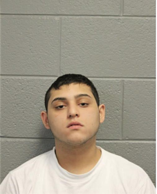 ROBERT T ELY, Cook County, Illinois