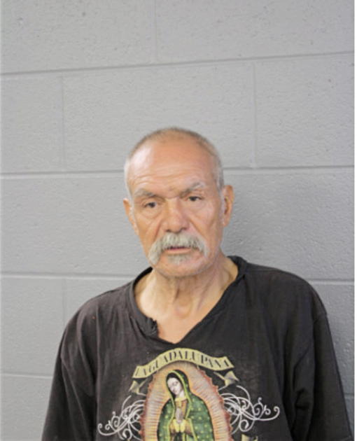 VICENTE J GONZALEZ, Cook County, Illinois