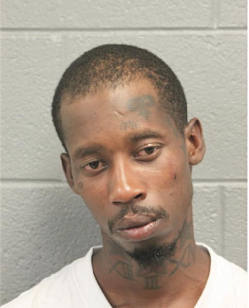 ANTHONY J JOHNSON, Cook County, Illinois