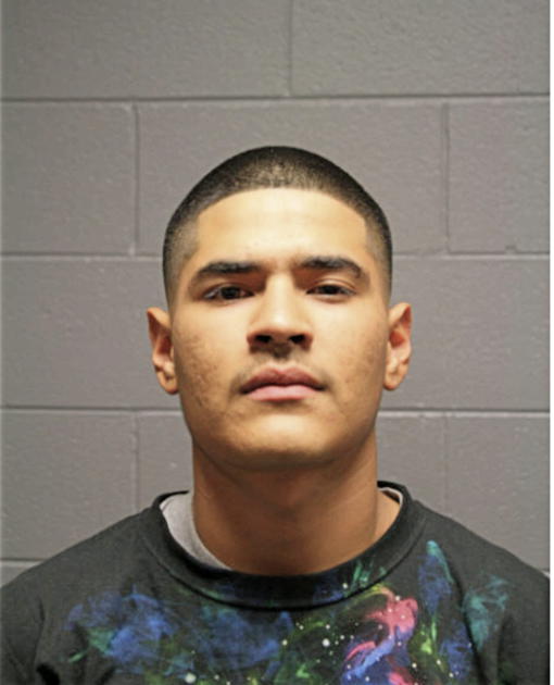 ALEJANDRO ZARATE LANDEROS, Cook County, Illinois