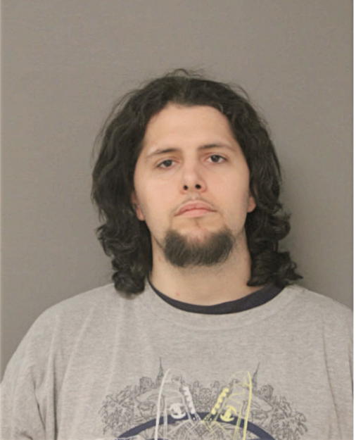 DANIEL M LEDENE, Cook County, Illinois