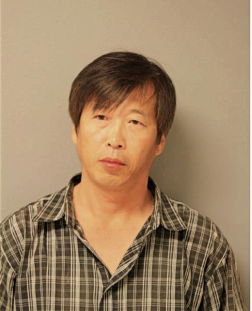 BIN LI, Cook County, Illinois