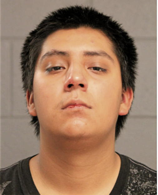 ELISEO PATINO, Cook County, Illinois