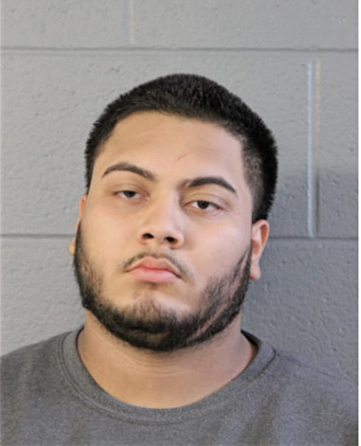 ANGEL C ROBLES, Cook County, Illinois