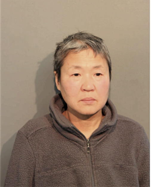 CHUNG W SHIM, Cook County, Illinois