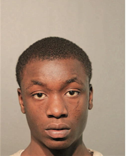 ERICK L SIMS, Cook County, Illinois