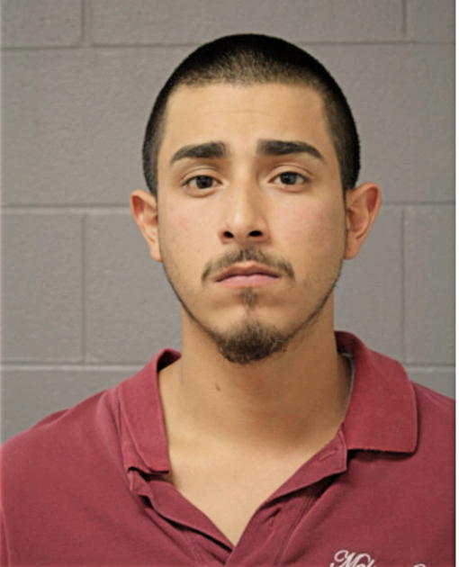 JUAN TERRAZAS, Cook County, Illinois