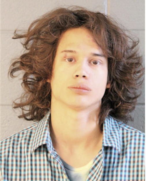 FRANCISCO A BRAVO, Cook County, Illinois