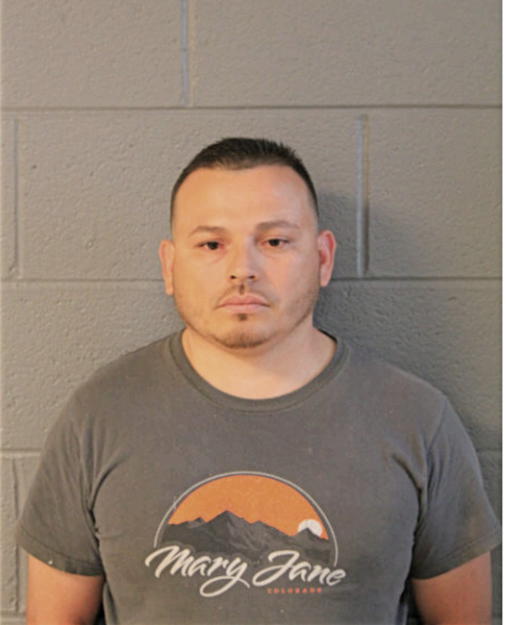 RIGOBERTO C CASTREJON, Cook County, Illinois