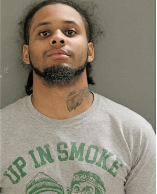 RYAN K DANIEL, Cook County, Illinois