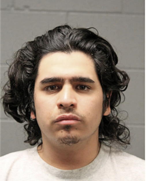 ALEJANDRO S DIAZ, Cook County, Illinois