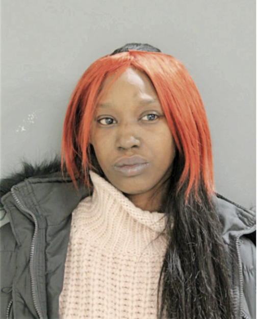 DENITA M DOZIER, Cook County, Illinois