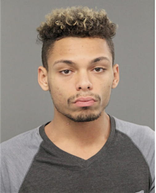 ANTHONY T GENGO, Cook County, Illinois