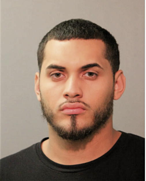 DOMINGO M GONZALEZ, Cook County, Illinois