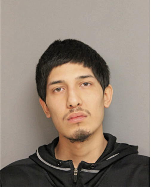 LUIS E GUILLEN, Cook County, Illinois